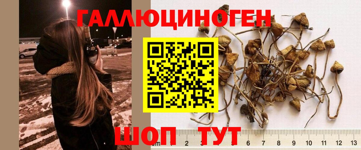 Галлюциногенные грибы мухоморы  Вход с VPN  Псилоцибиновые грибы прущие грибы  Родники 