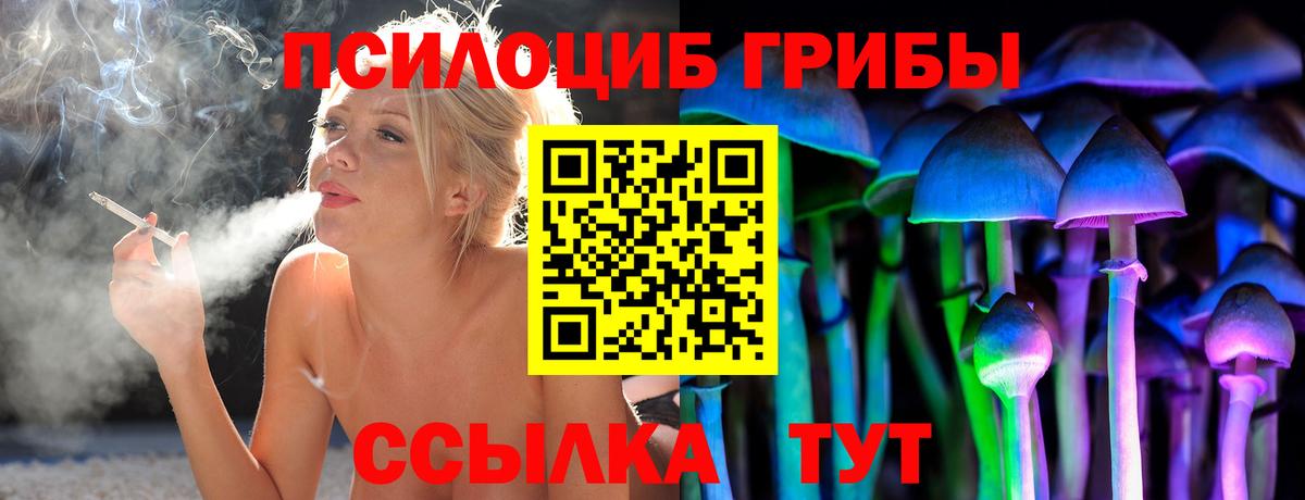 Псилоцибиновые грибы GOLDEN TEACHER Родники
